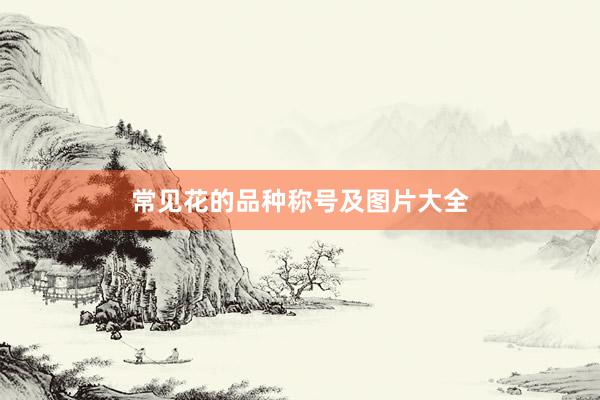 常见花的品种称号及图片大全