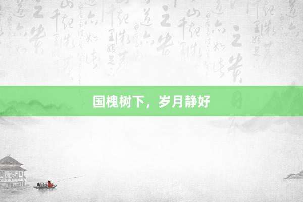 国槐树下，岁月静好