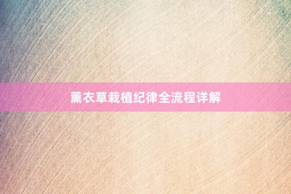 薰衣草栽植纪律全流程详解